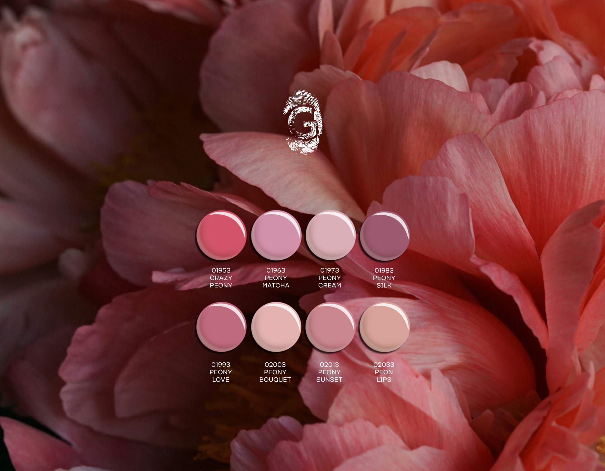 Peony Mood Collection