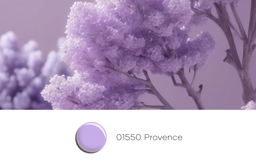 01550 Provence.jpg