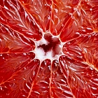 Antiseptic for hands Antisepta, 200 ml